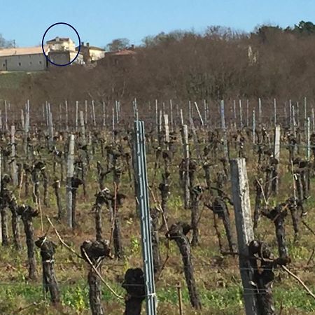 Superbe Gite A La Campagne Dans Le Bordelais Saint-Vivien-de-Blaye 외부 사진
