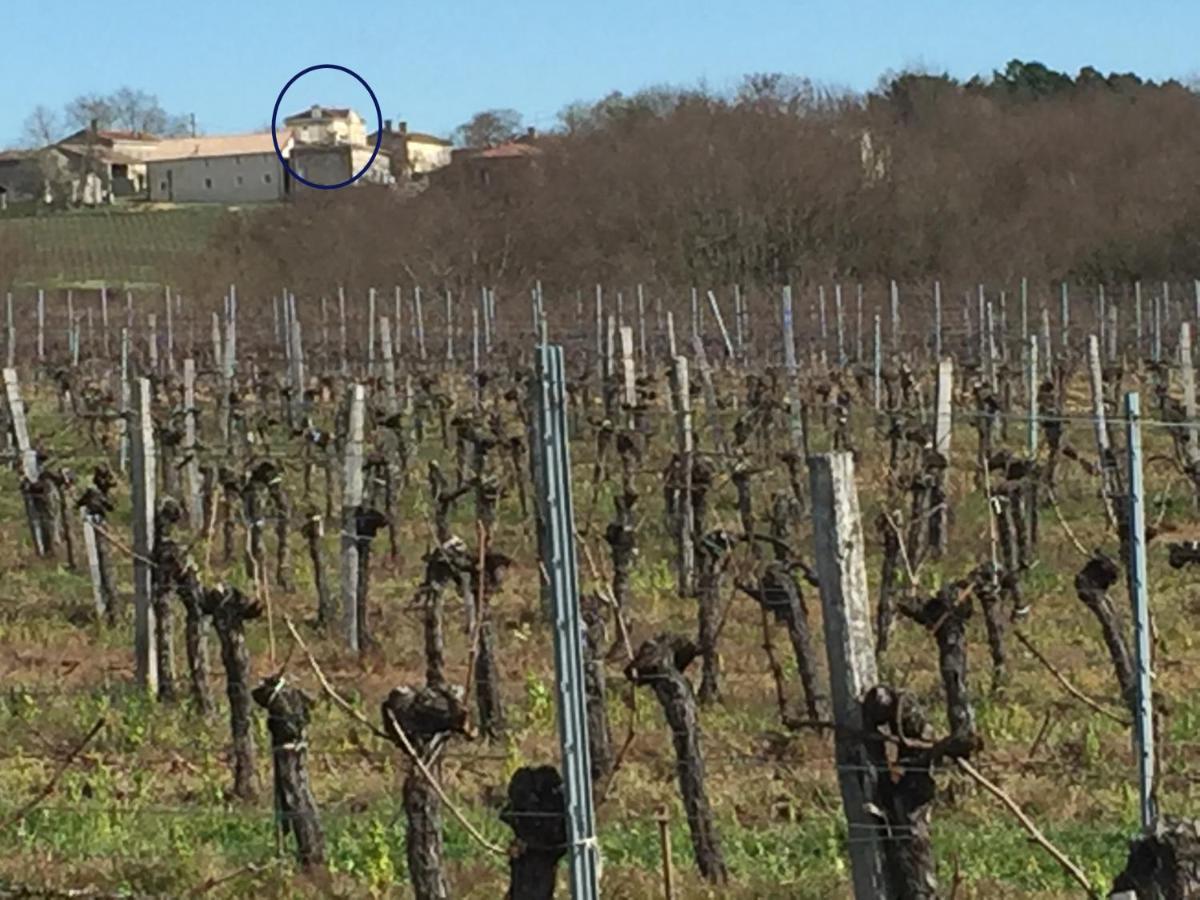 Superbe Gite A La Campagne Dans Le Bordelais Saint-Vivien-de-Blaye 외부 사진